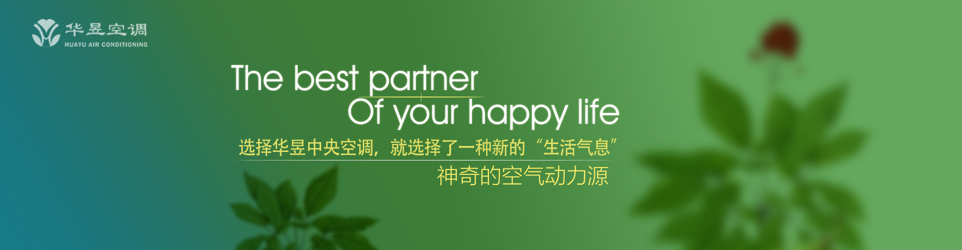 闻风而至网